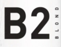 Berging B2 Blond bier logo
